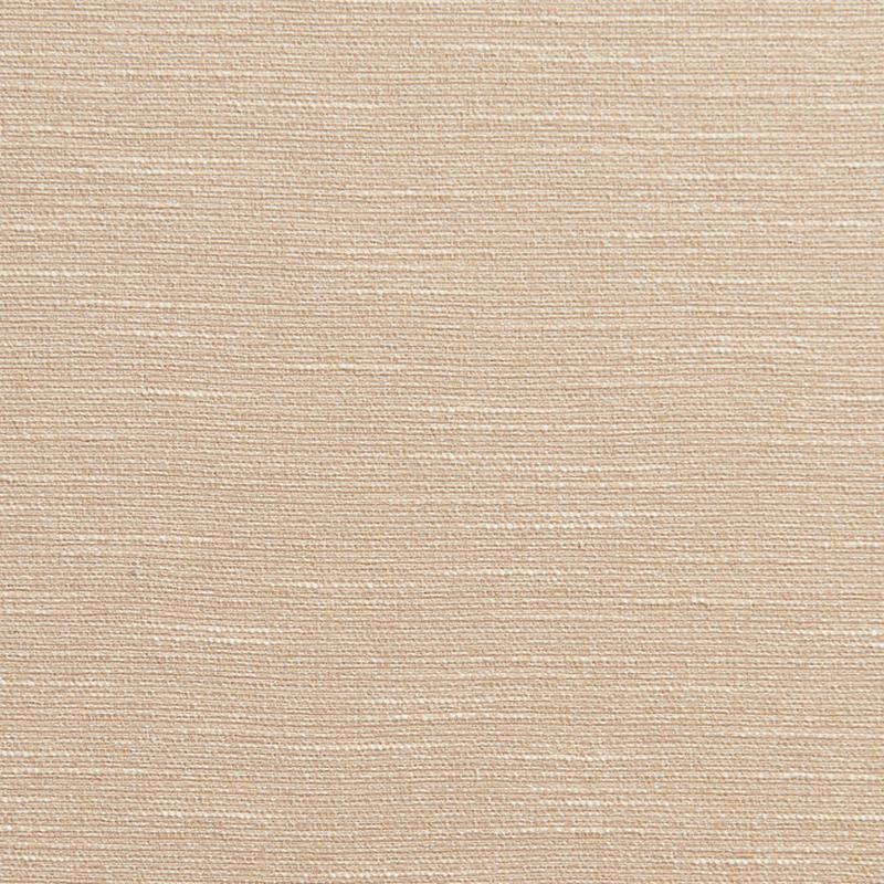 10200-12 by Charlotte Fabric